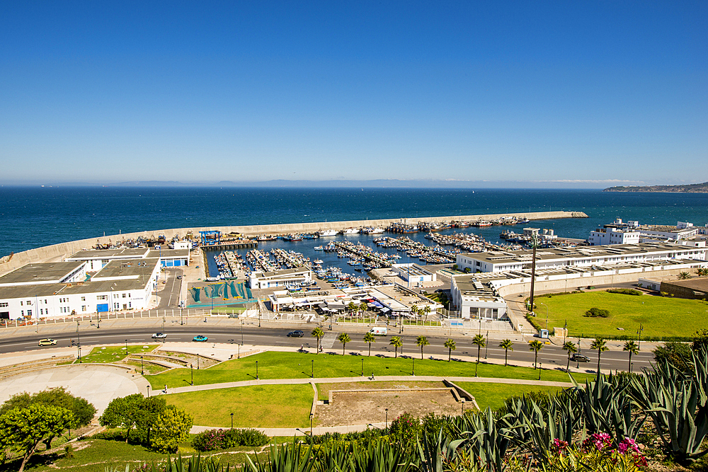 View of the fishing habour from fortress wall, old Medina, Tangier, Morocco, North Africa, Africa