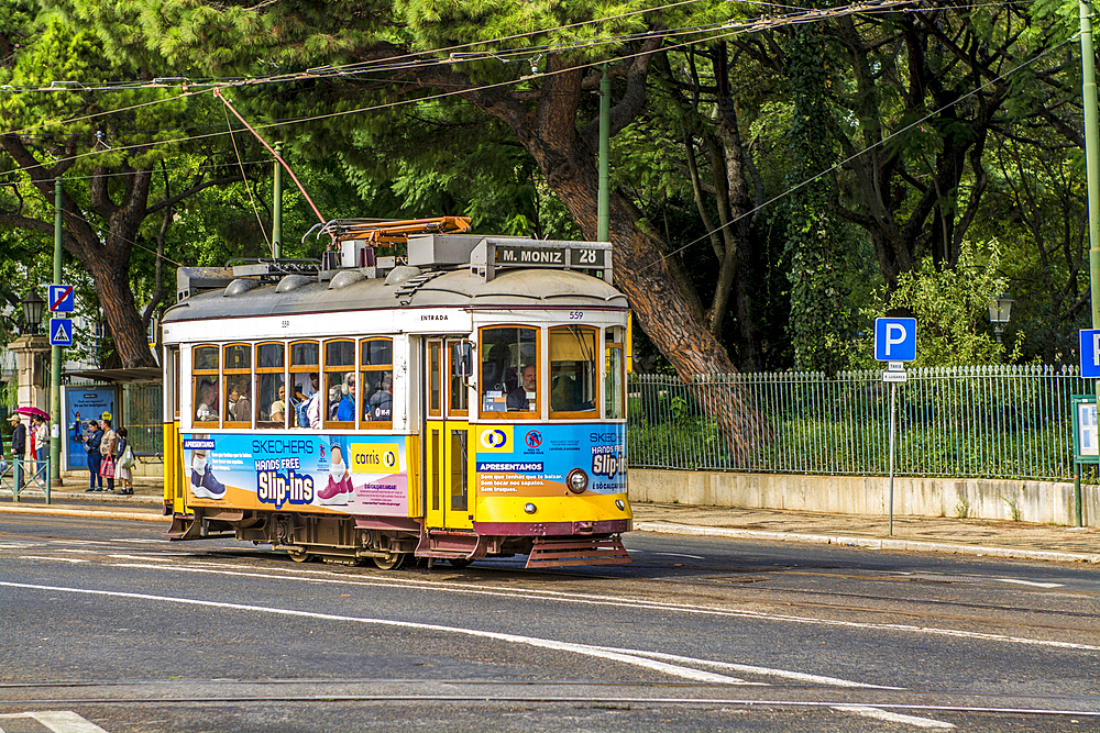 Iconic trams public transit, Lisbon, Portugal.