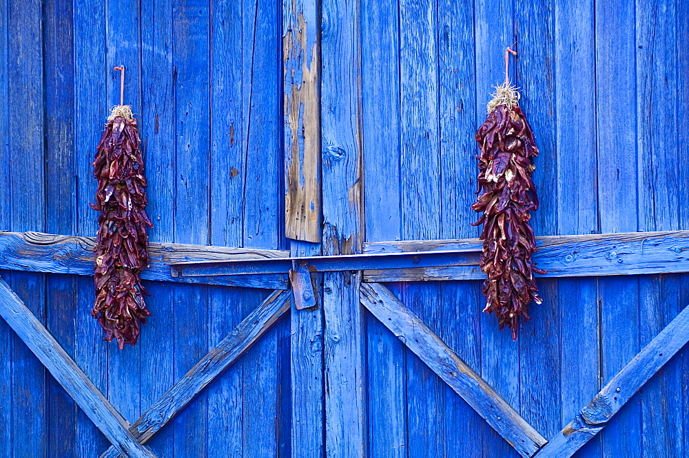 Chilli ristra hanging in Old Town Albuquerque, New Mexico, United States of America, North America