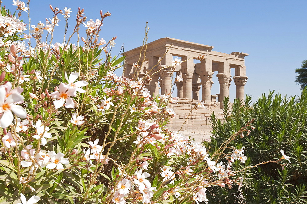 Philae Temple near Aswan, Egypt, North Africa, Africa