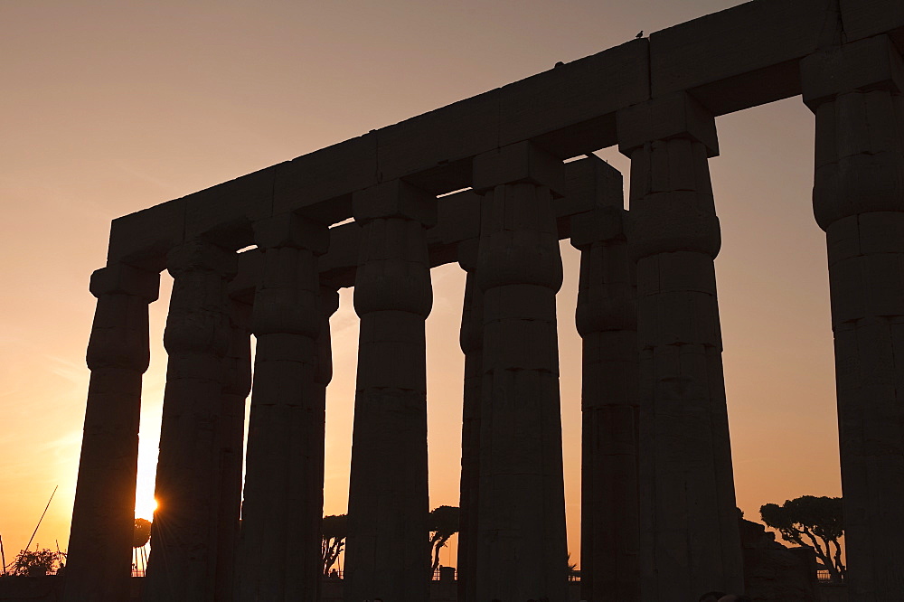 Luxor Temple, Luxor, Thebes, UNESCO World Heritage Site, Egypt, North Africa, Africa