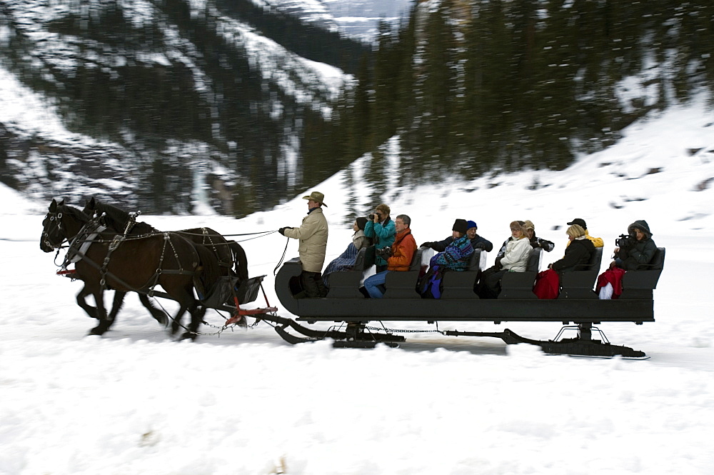 Sleigh ride at Chateau Lake Louise Hotel, Lake Louise, Alberta, Canada, North America