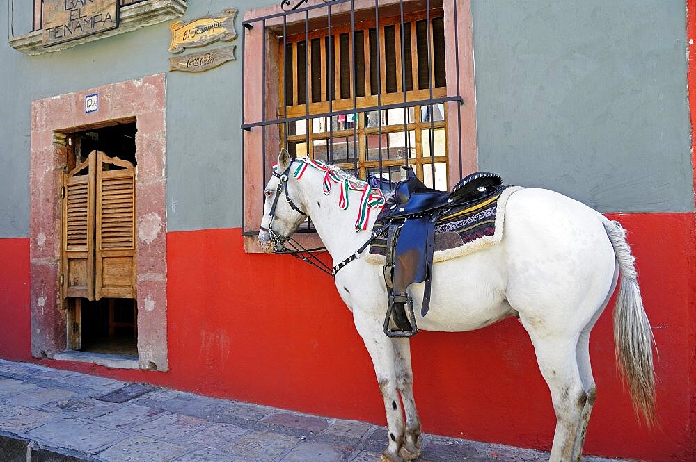 Mexico, Bajio, San Miguel de Allende, Horse tied up on street outside a cantina a men only bar with saloon doors.