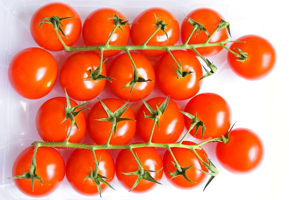 Food, Fruit, Tomato, A tray of red cherry tomatoes on the vine.