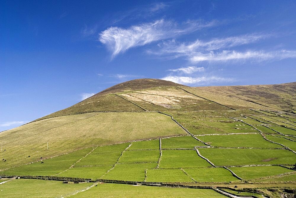 Ireland, County Kerry, Dingle Peninsula, Landscape above Coumeenole Beach.