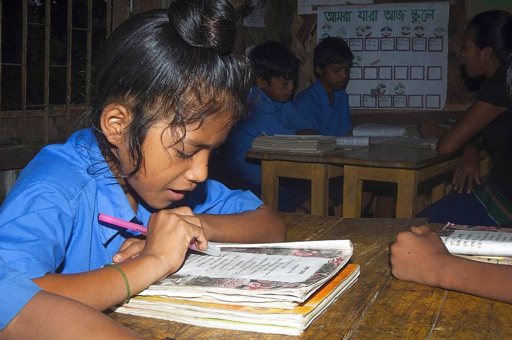 Bangladesh, Chittagong Division, Rowangchhari Upazila, Mro minority ethnic group children sat in primary school classroom with teaching aids on walls around them provided by development programme.,