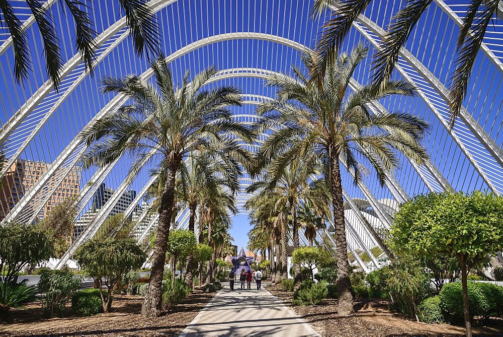 Spain, Valencia Province, Valencia, Spain, Valencia Province, Valencia, La Ciudad de las Artes y las Ciencias, City of Arts and Sciences, Interior of the Umbracle sculpture garden.