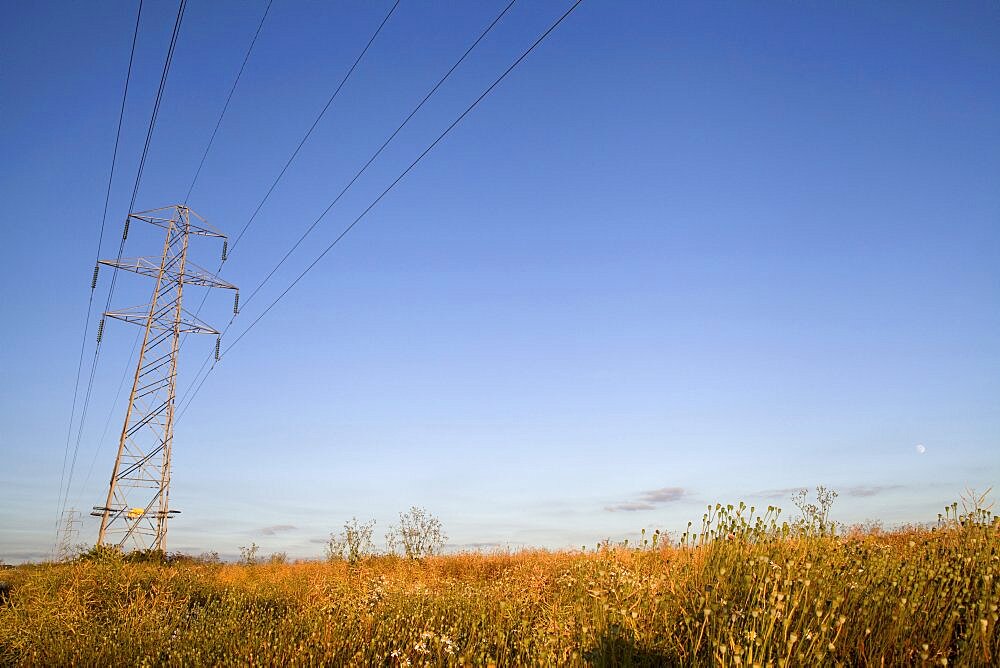 Environment, Power, Electricity, Pylons in the Hampshire countryside, England.