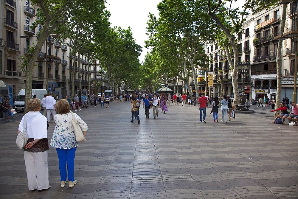 Spain, Catalonia, Barcelona, Tourist walking along the tree lined avenue of La Rambla.