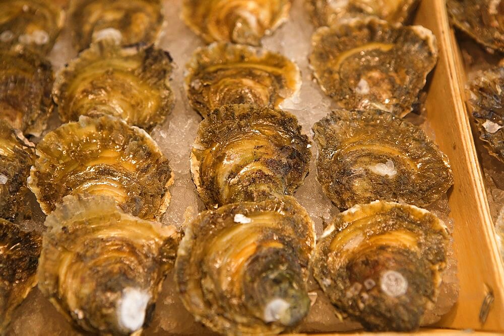 Spain, Madrid, Oysters on display at the Mercado de San Miguel.