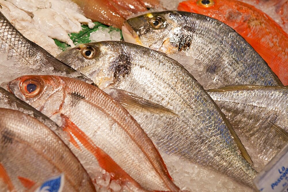 Spain, Madrid, Display of fish on a stall in Mercado San Anton.