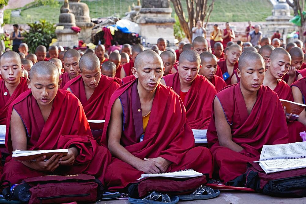 India, Bihar, Bodhgaya, Large group of seated, young Buddhist monks chanting and reading prayers at a ceremony in the grounds of the Mahadbodhi Temple.