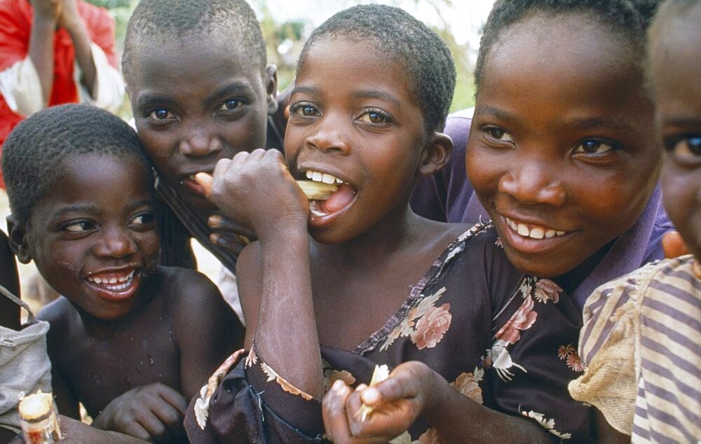 MALAWI  Lumbe Young children eating sugar cane