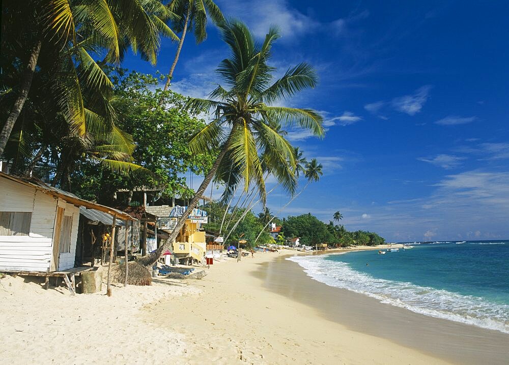 SRI LANKA  Unawatuna Narrow sandy beach lined with vegetation and overhanging palm trees with restaurants internet cafe and other buildings.