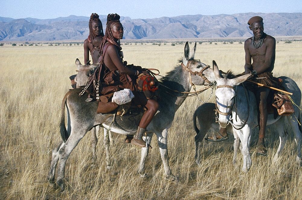 NAMIBIA Marienfluss Himba group on donkeys.  Semi nomadic pastoral people related to the Herero and speaking the same language