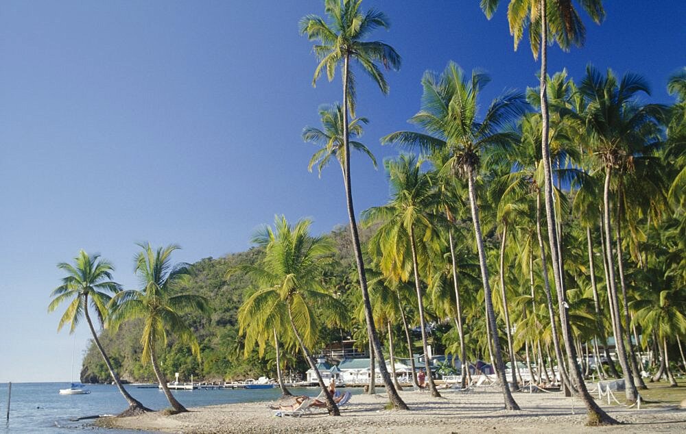 ST LUCIA  Marigot Bay Sunbathers on stretch of sandy beach with palm trees to waters edge.