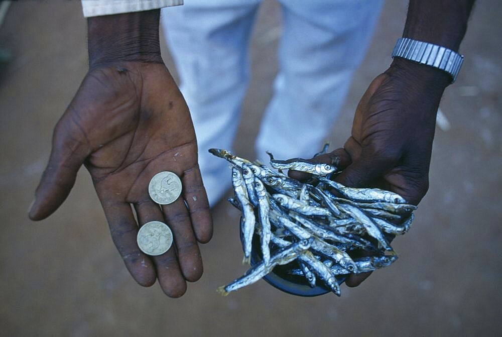 MALAWI  Mulanje Micro-credit loan.  Cropped shot of Peter Makfero Hamilton who travels to Lake Malawi to buy fish to resell in business started using money lent by his village credit union.