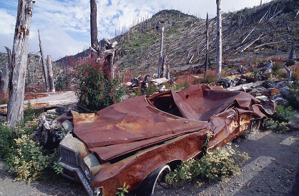 USA Washington Skamania Mount St Helens National Volcanic Monument. Crushed car and flattened bare trees in the aftermath of the 1980 eruption