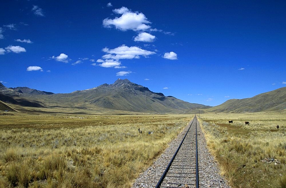 PERU  Transport Railway track through the Andes mountain range  Puno to Cusco Perurail train journey. Cuzco Travel Tourism Holiday Vacation Explore Recreation Leisure Sightseeing Tourist Attraction Tour Destination Puno Cusco Cuzco Peru Peruvian South Southern America Latin Transport Transportation Travelling Culture Cultural Day Trip Daytrip Train Commute Commuter Commuting Moving Andes Andean Railway Railways Journey Blue Sky Track Lines Line Rails Parallel Motion Movement Sleepers Mountain Mountainous Hill Hillside Distant Distance Perspective Vivid Vibrant Country Countryside Rural Peaceful Quiet Peak Tall High Range Scenic Landscape Fields Panorama Panoramic Verdant Pasture Pastureland Valley Agriculture Agricultural Farm Farming Plain View Vista Picturesque Empty Infinity Fluffy White Clouds Converge Convergent Converging Calendar Tranquil American South America Traveling