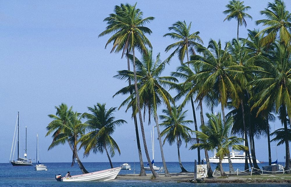 Cruise ship yachts and motor boat in bay with beach and palms, Marigot Bay, St Lucia