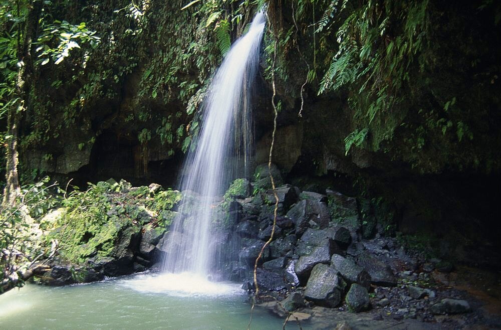 WEST INDIES Dominica Emerald Pool Waterfall and plunge pool in thick tropical rainforest.