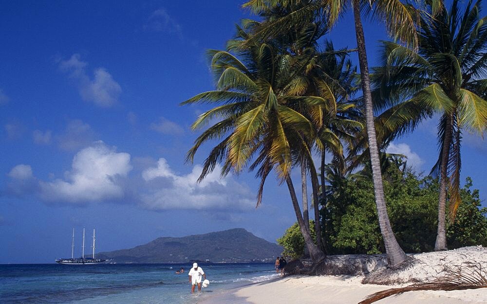 Sandy Island, Tourists on sandy beach beneath palm trees with sailing ship moored in water beyond, Carriacou Island, Grenadines