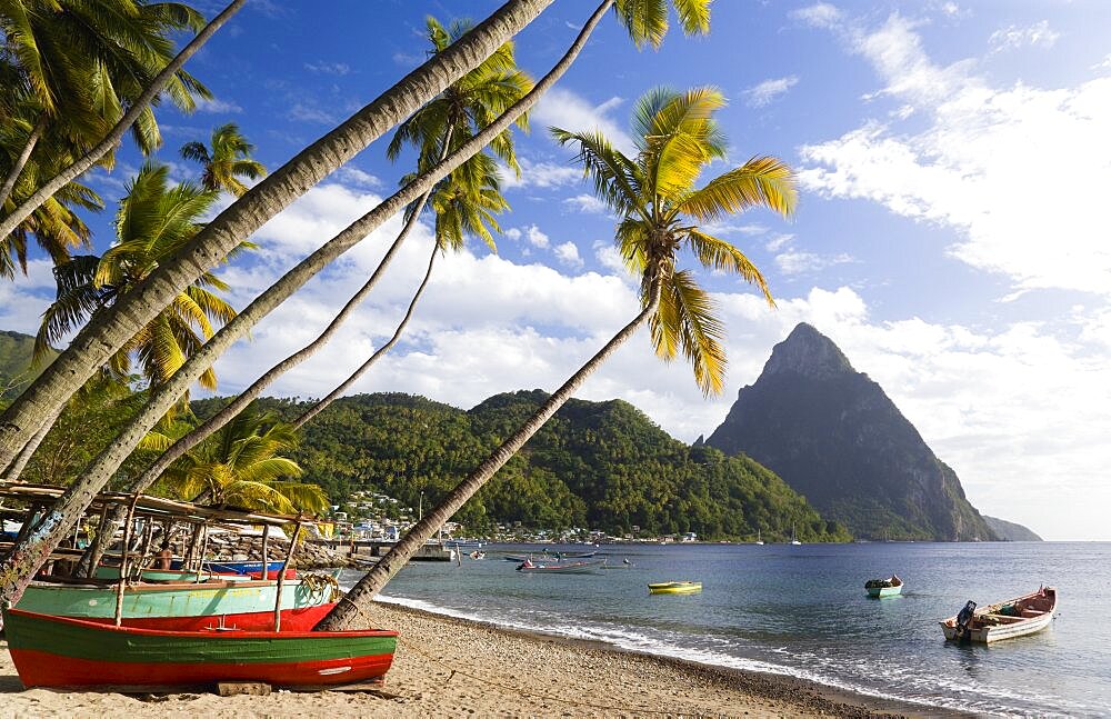 Fishing boats on the beach lined with coconut palm trees with the town and the volcanic plug mountain of Petit Piton beyond, Soufriere, St Lucia