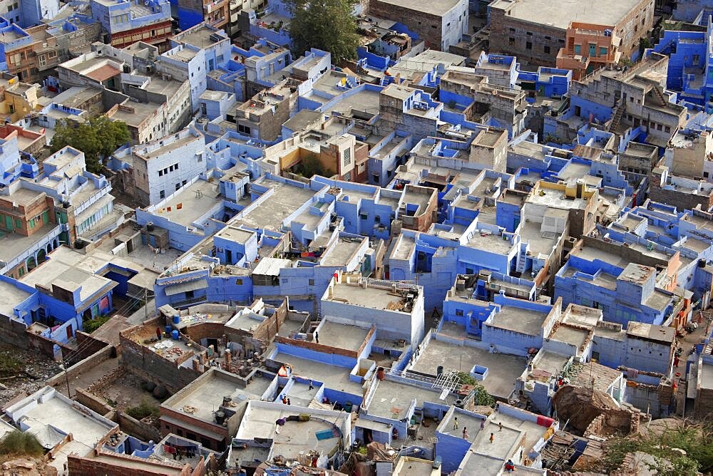 Aerial view over flat rooftops of the blue painted houses of the Brahman neighbourhood from Meherangarh Fort known as the Blue City , Jodhpur, Rajasthan, India