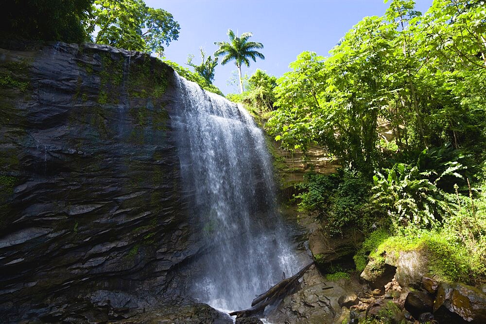Water cascading down the Royal Mount Carmell Waterfall surrounded by lush green vegetation, Grenada, West Indies, Caribbean, Central America