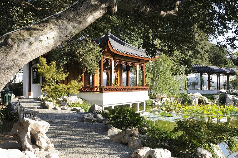 Path leading to Terrace of the Jade Mirror The Garden of Flowing Fragrance Chinese Garden The Huntington, Valley & Pasadena, United States of America