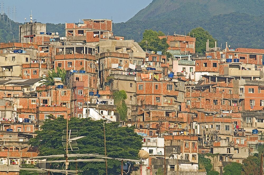 BRAZIL Rio de Janeiro Favela or slum on hillside above Copacabana neighbourhood, bedcovers and washing hanging on lines unplastered red brick houses greenery and TV antenna