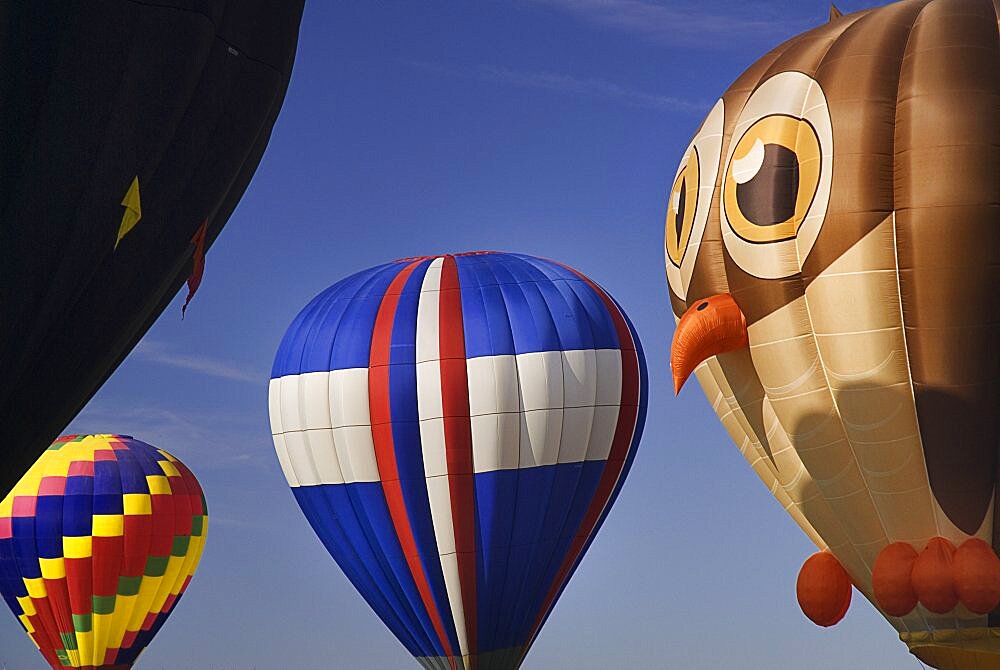 Annual balloon fiesta colourful hot air balloons in flight with owl shaped balloon part seen in the foreground, Albuquerque, New Mexico, United States of America