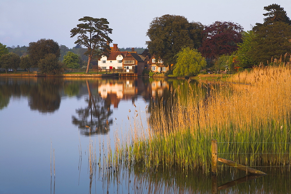 Beaulieu village, New Forest, Hampshire, England, United Kingdom, Europe