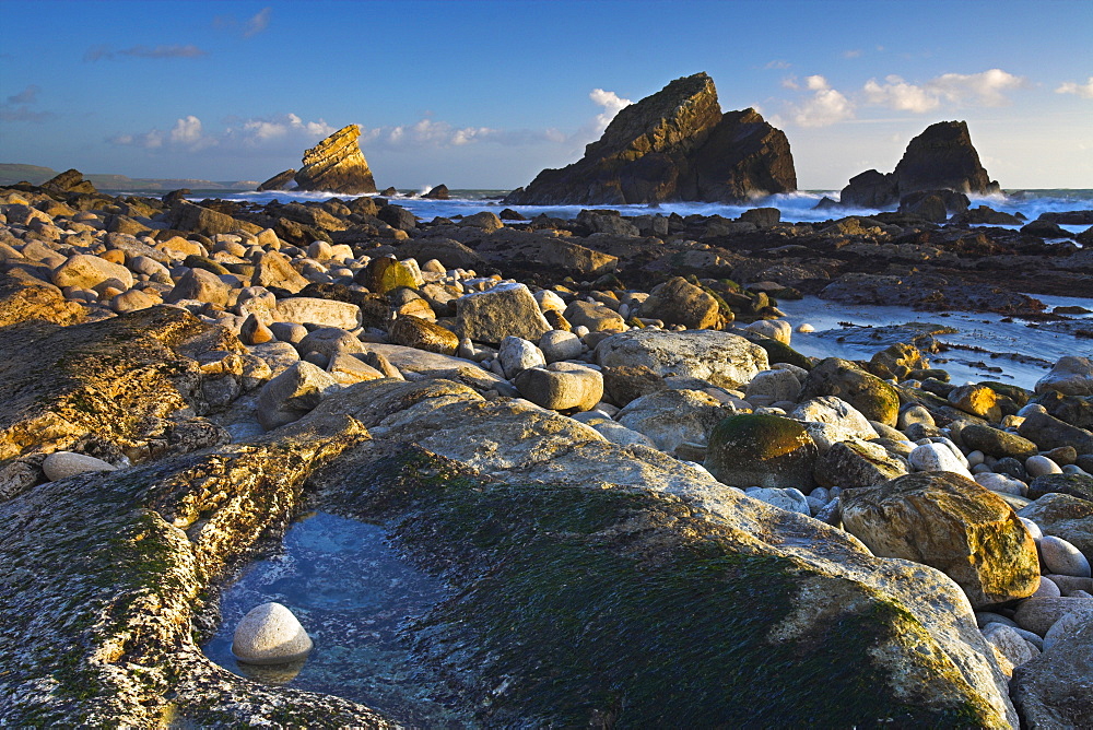 The rugged coastline at Mupe Bay, Jurassic Coast, UNESCO World Heritage Site, Dorset, England, United Kingdom, Europe