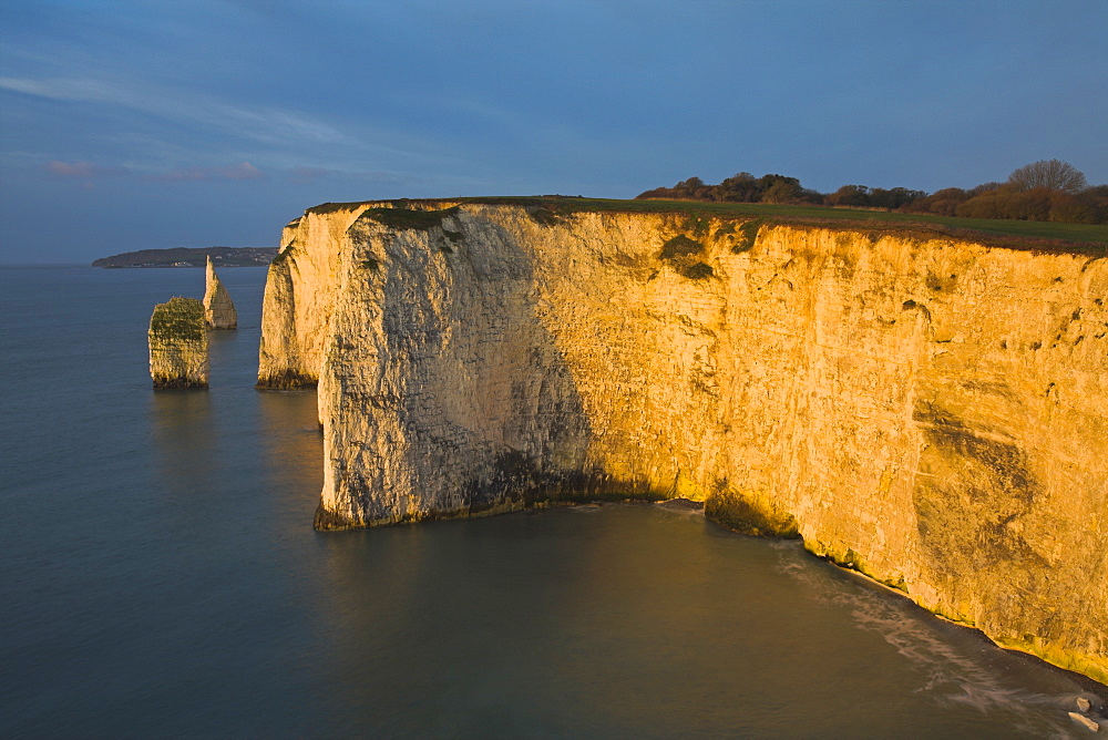 Chalk clifftops of Old Harry Rocks near Swanage, Jurassic Coast, UNESCO World Heritage Site, Dorset, England, United Kingdom, Europe