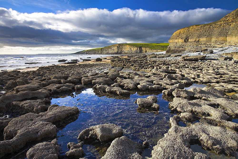 Rock pools on the ledges at Dunraven Bay, Southerndown, Wales, United Kingdom, Europe