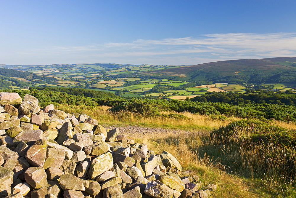 Selworthy Beacon near Bossington Hill, Exmoor National Park, Somerset, England, United Kingdom, Europe