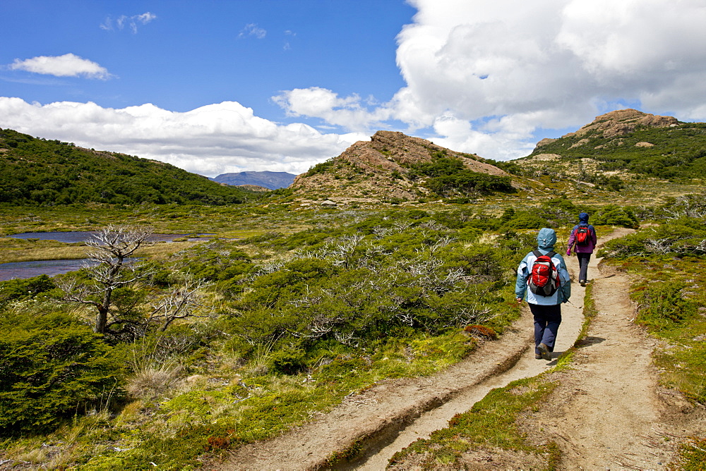 Hikers walking one of the many paths in the Chalten area of Los Glaciares National Park, UNESCO World Heritage Site, Patagonia, Argentina, South America