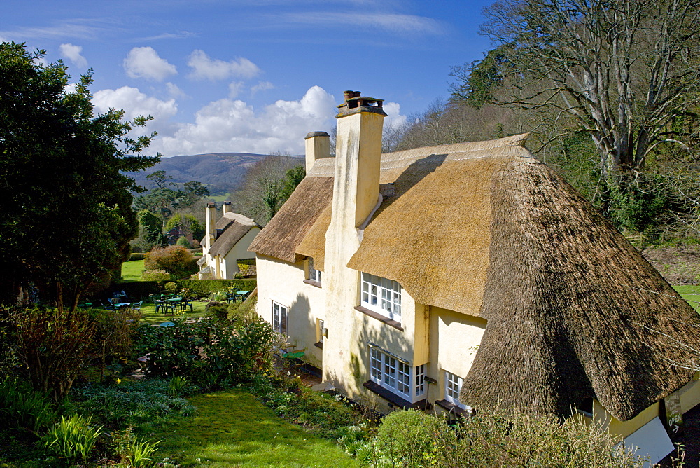 Picturesque Selworthy in Exmoor National Park, Somerset, England, United Kingdom, Europe