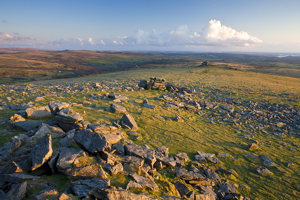 Dartmoor moorland in golden evening light, Great Staple Tor, Dartmoor, Devon, England, United Kingdom, Europe