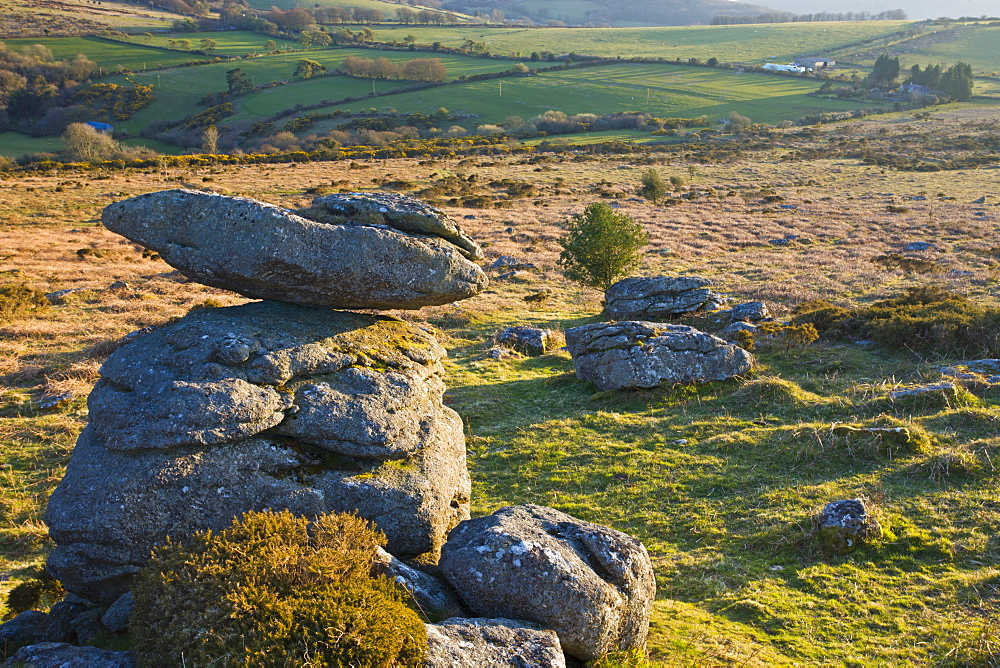 Granite outcrops on Hayne Down in Dartmoor National Park, Devon, England, United Kingdom, Europe