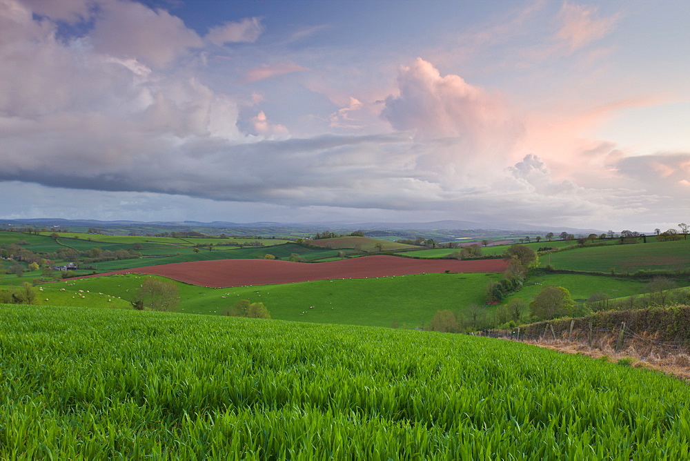 Spectacular and unusual skies above the rolling fields of mid Devon, England, United Kingdom, Europe