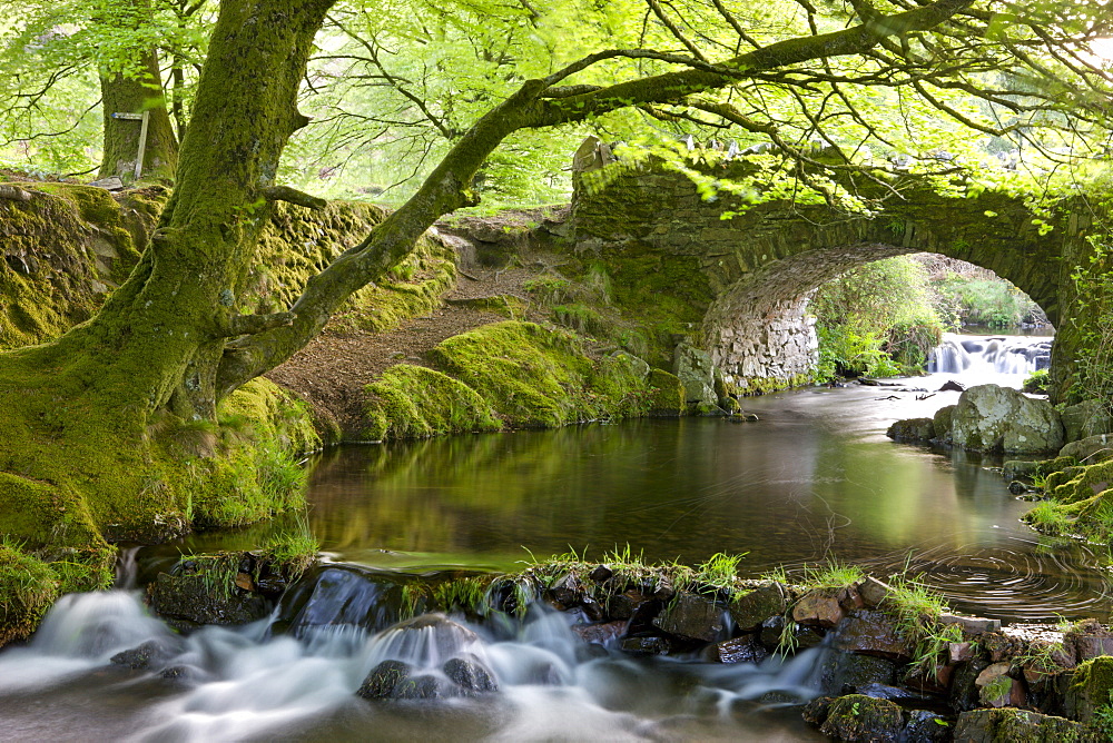 Robbers Bridge in Exmoor National Park, Somerset, England, United Kingdom, Europe