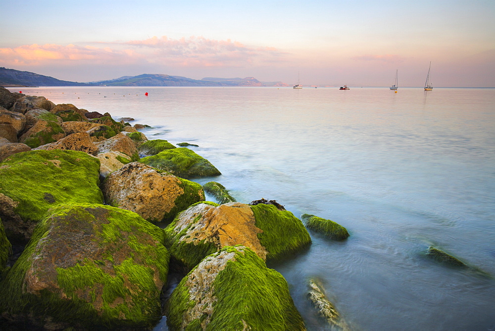 Pastel sunset over the Dorset cliffs, as seen from Lyme Regis, Dorset, England, United Kingdom, Europe