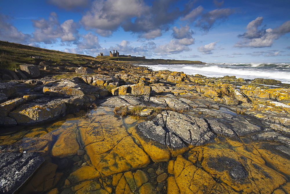 Rockpools near Dunstanburgh Castle, Dunstanburgh, Northumberland, England, United Kingdom, Europe