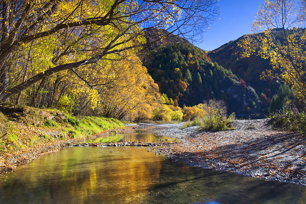 Autumn foliage in Arrowtown, Otago, South Island, New Zealand, Pacific