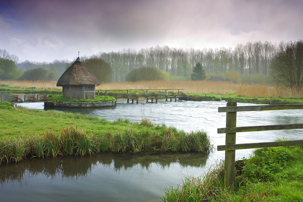 Thatched fisherman's hut and eel traps spanning the River Test near Leckford, Hampshire, England, United Kingdom, Europe