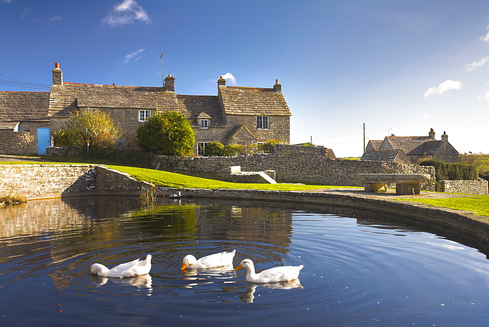 Duckpool in Worth Matravers village green, Dorset, England, United Kingdom, Europe