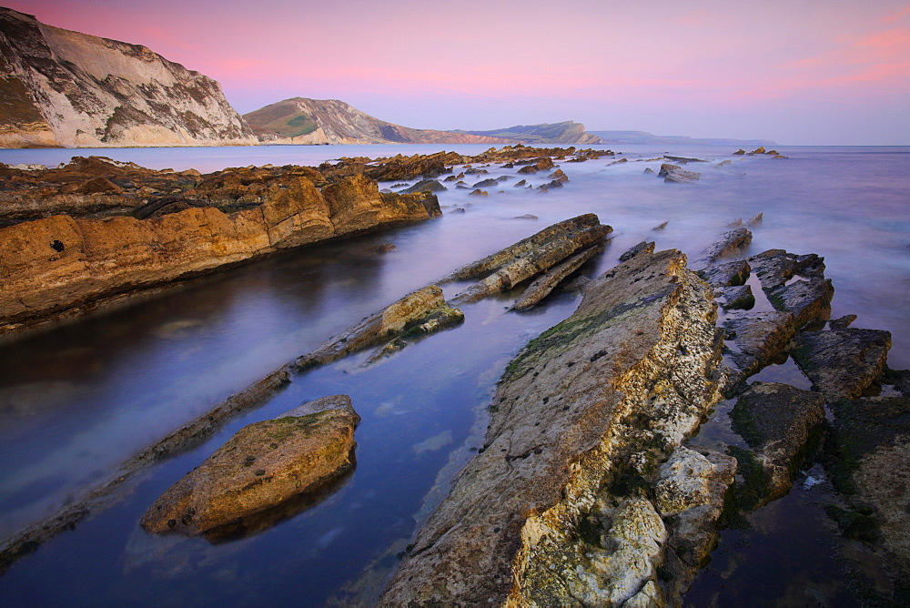 Rocky ledges of Mupe Rocks on the Jurassic Coast, UNESCO World Heritage Site, Dorset, England, United Kingdom, Europe