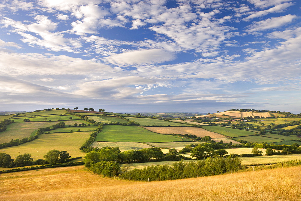 Beautiful rolling Devon countryside beneath a gorgeous sky, Raddon Hill, Devon, England, United Kingdom, Europe